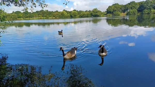 Kingsbury Water Park