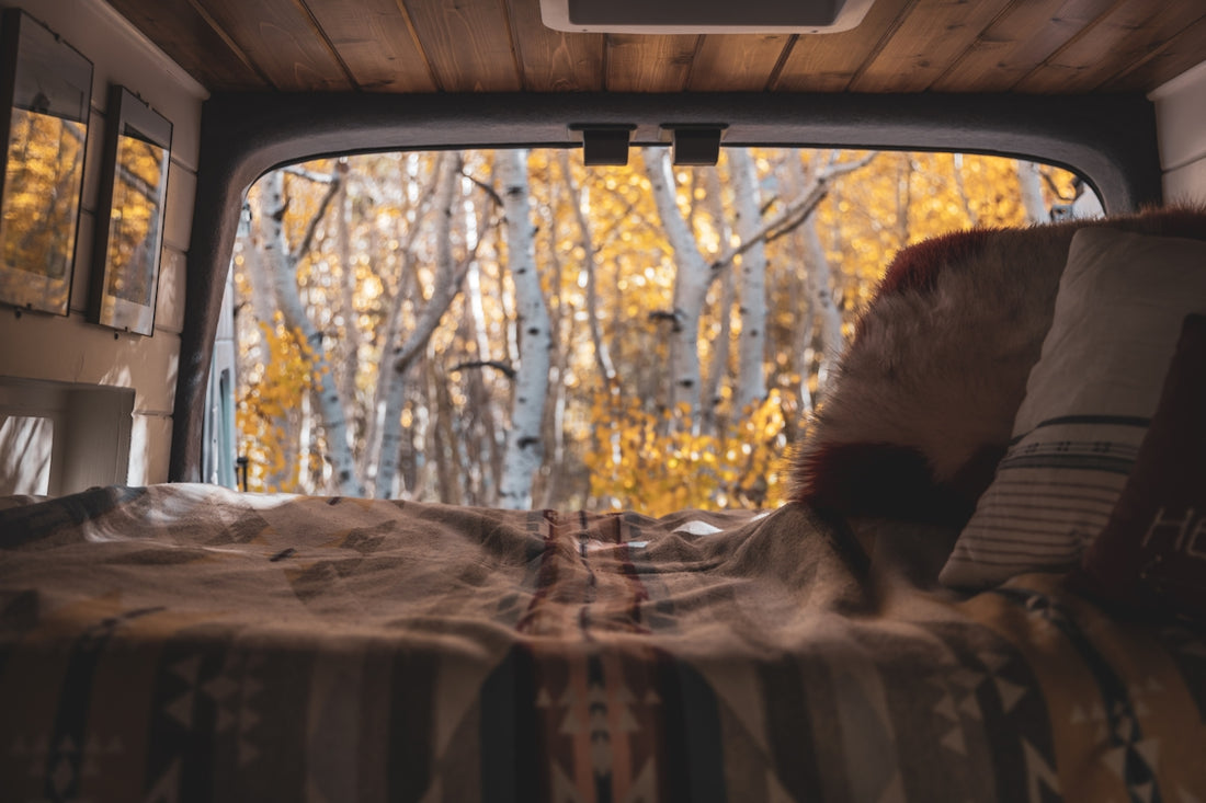 View of autumn trees from inside a camper van